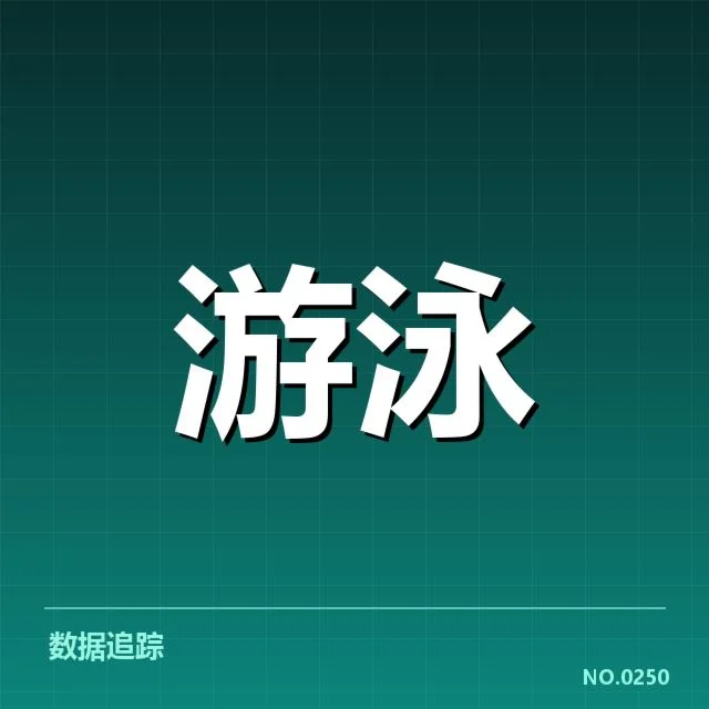 关键成绩盘点:冠军与重要选手表现一览